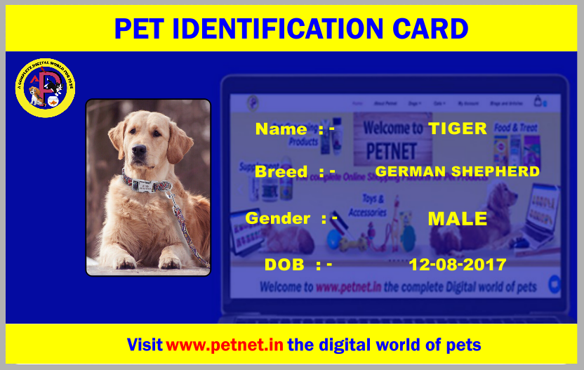 Dog Identification Card - Blue & Yellow