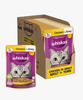 Whiskas Adult Chicken in Gravy 85g(Pack of 14)