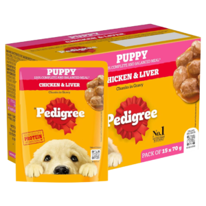 Pedigree Puppy Wet Dog Food, Chicken Chunks in Gravy, 70 g (Pack of 15)
