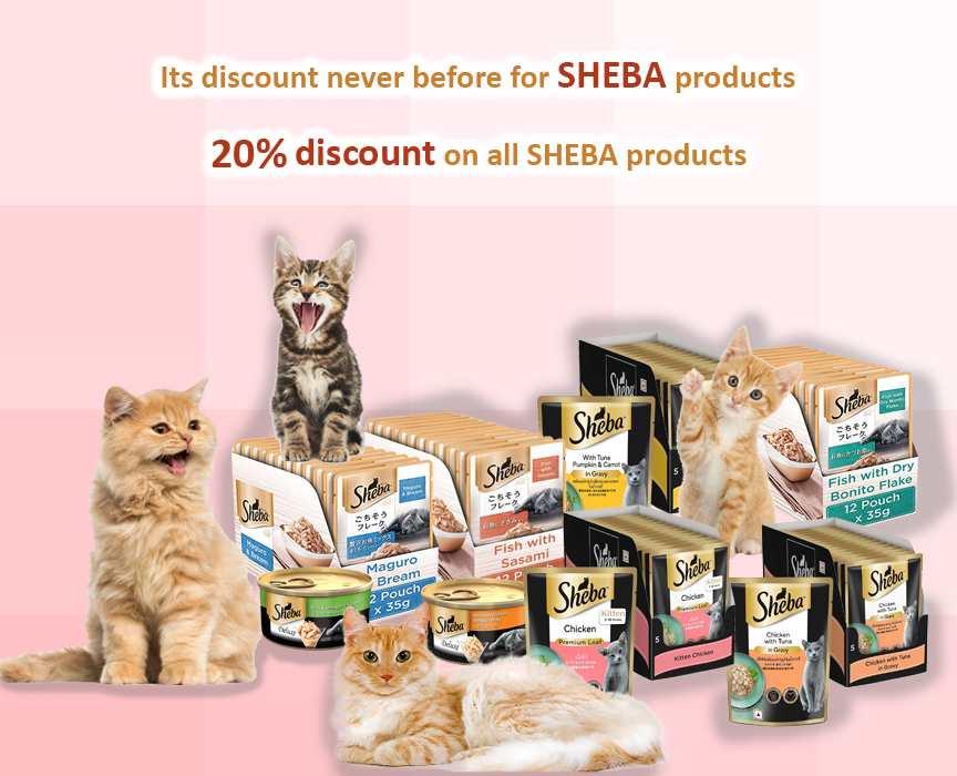 Sheba Product Creative