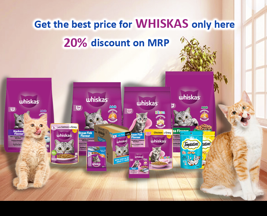 Whiskas Product Creative