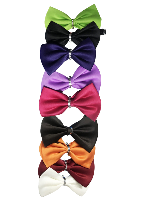 Bow Fancy (Pack of 2)