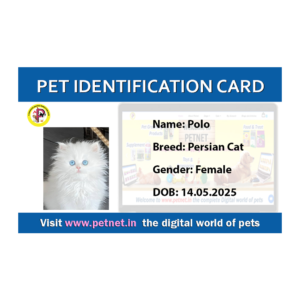 Pet Identification Card – Cat (Blue & White)