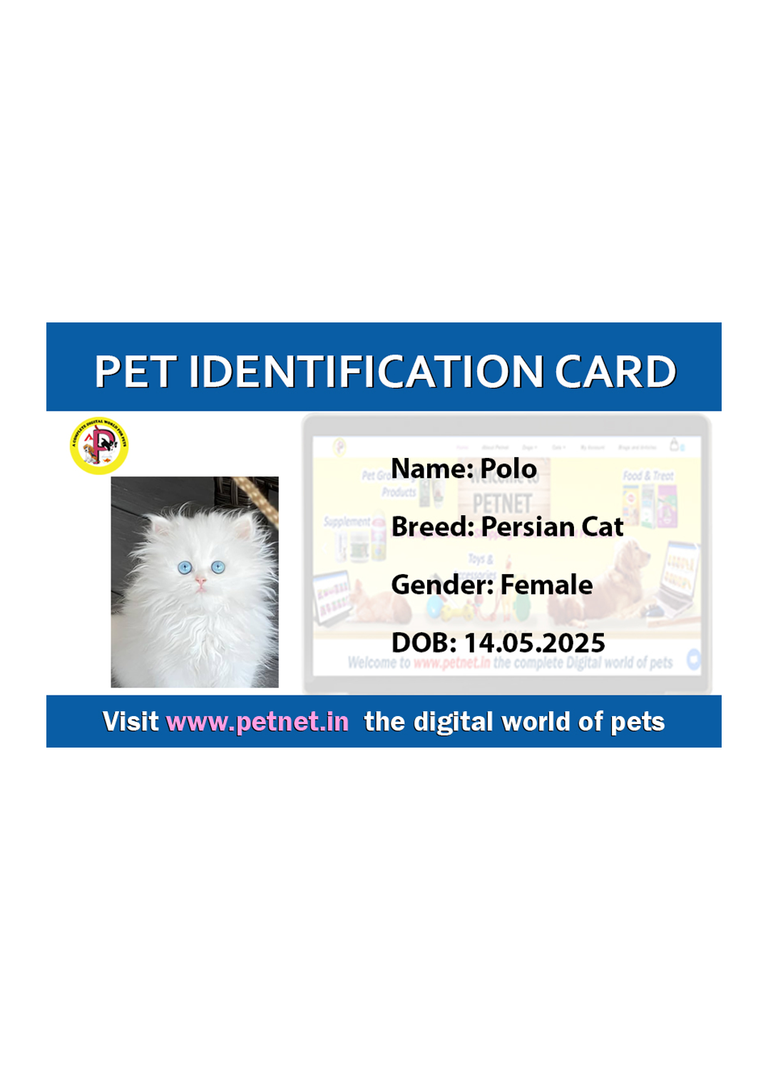 Pet Identification Card - Cat (Blue & White)