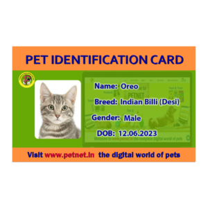 Pet Identification Card – Cat (Green & Orange)