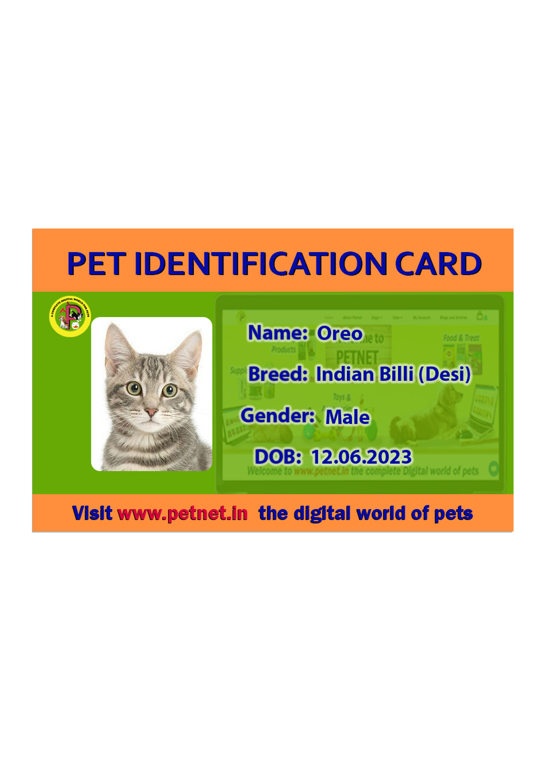 Pet Identification Card - Cat (Green & Orange)
