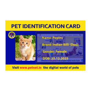 Pet Identification Card – Cat (Blue & Yellow)