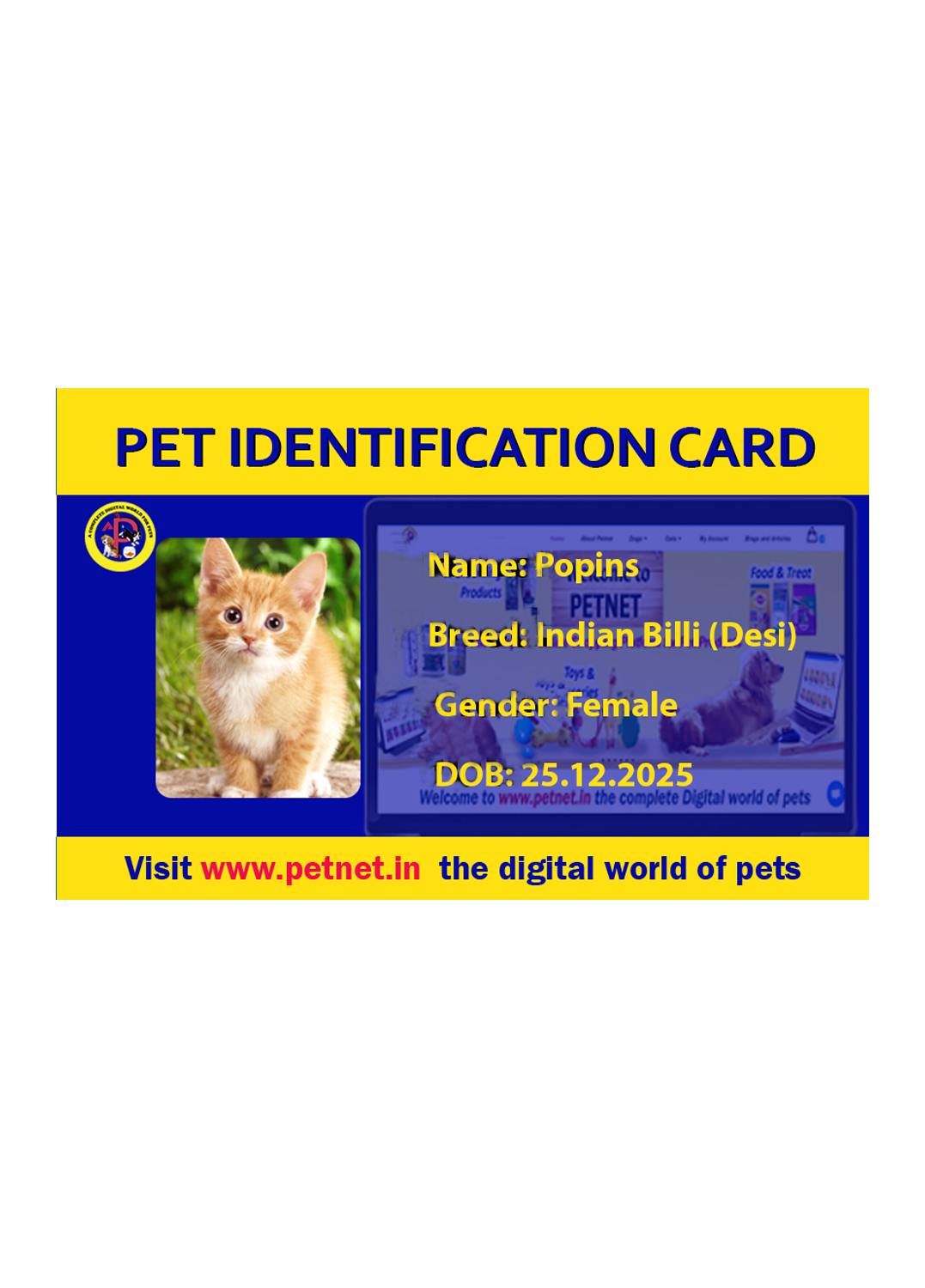 Pet Identification Card - Cat (Blue & Yellow)