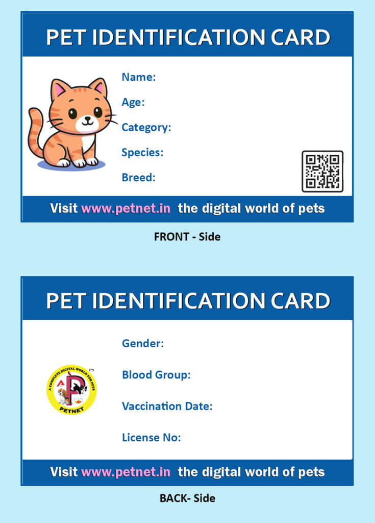 Pet Identification Card – Cat (Blue & White)