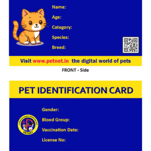 Pet Identification Card – Cat (Blue & Yellow)