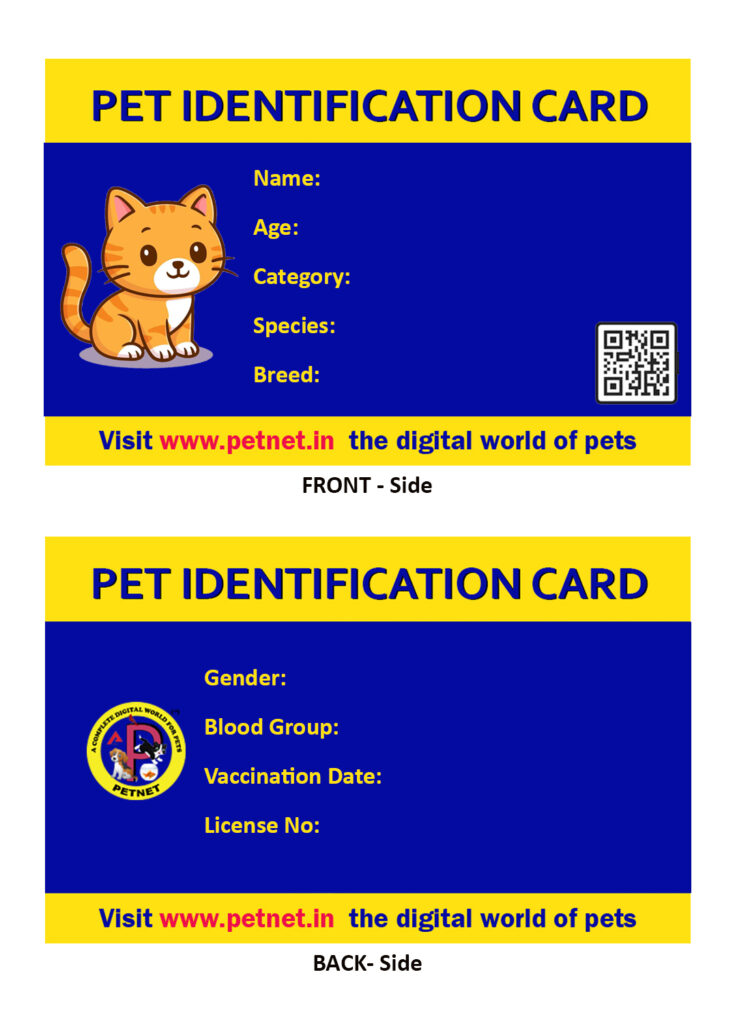 Pet Identification Card – Cat (Blue & Yellow)