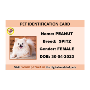 Pet Identification Card – Dog (Peach color)
