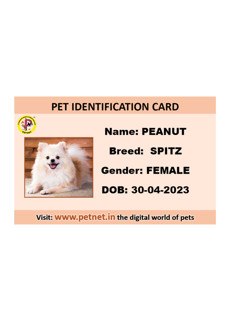 Pet Identification Card – Dog (Peach color)