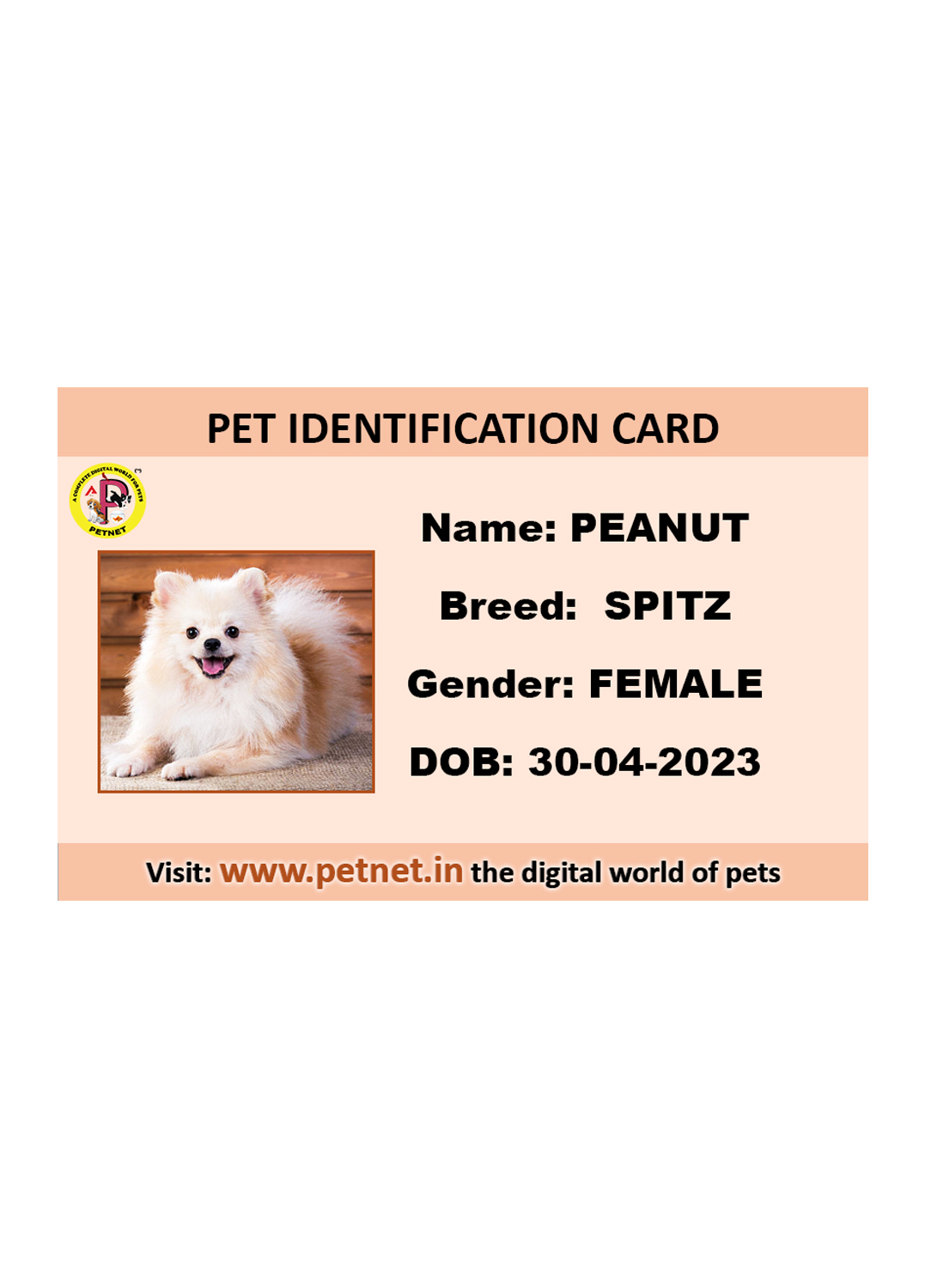 Pet Identification Card - Dog (Peach color)