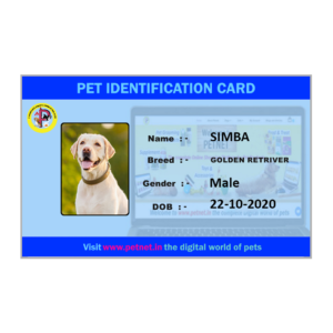 Pet Identification Card – Dog (Sky Blue & Neon Blue)