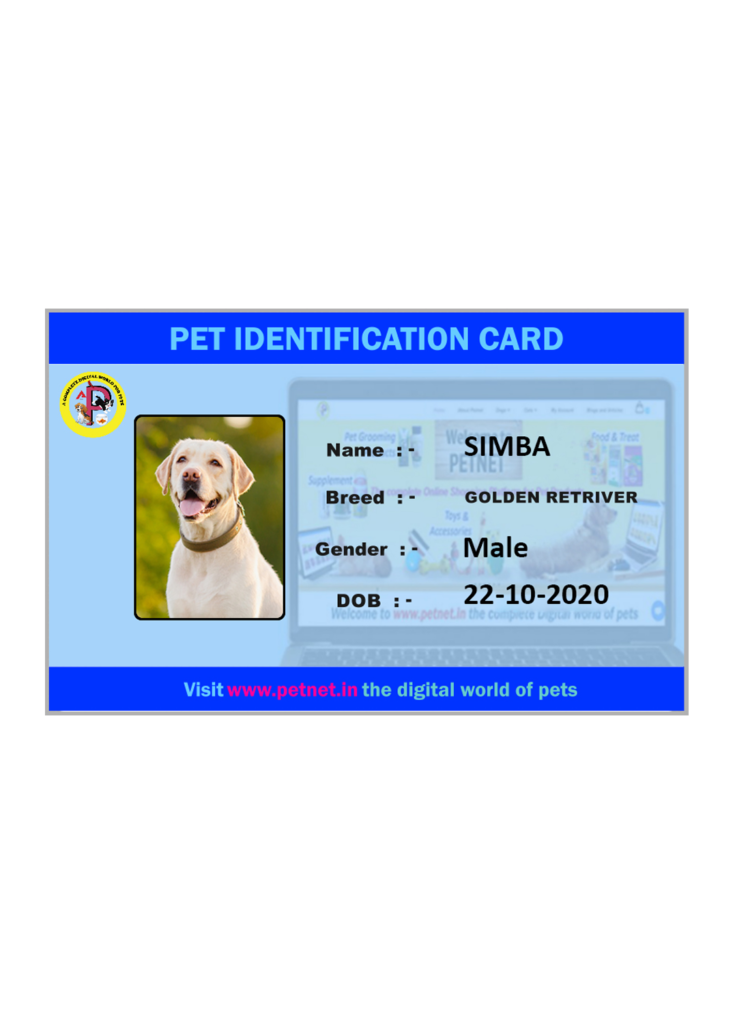 Pet Identification Card – Dog (Sky Blue & Neon Blue)