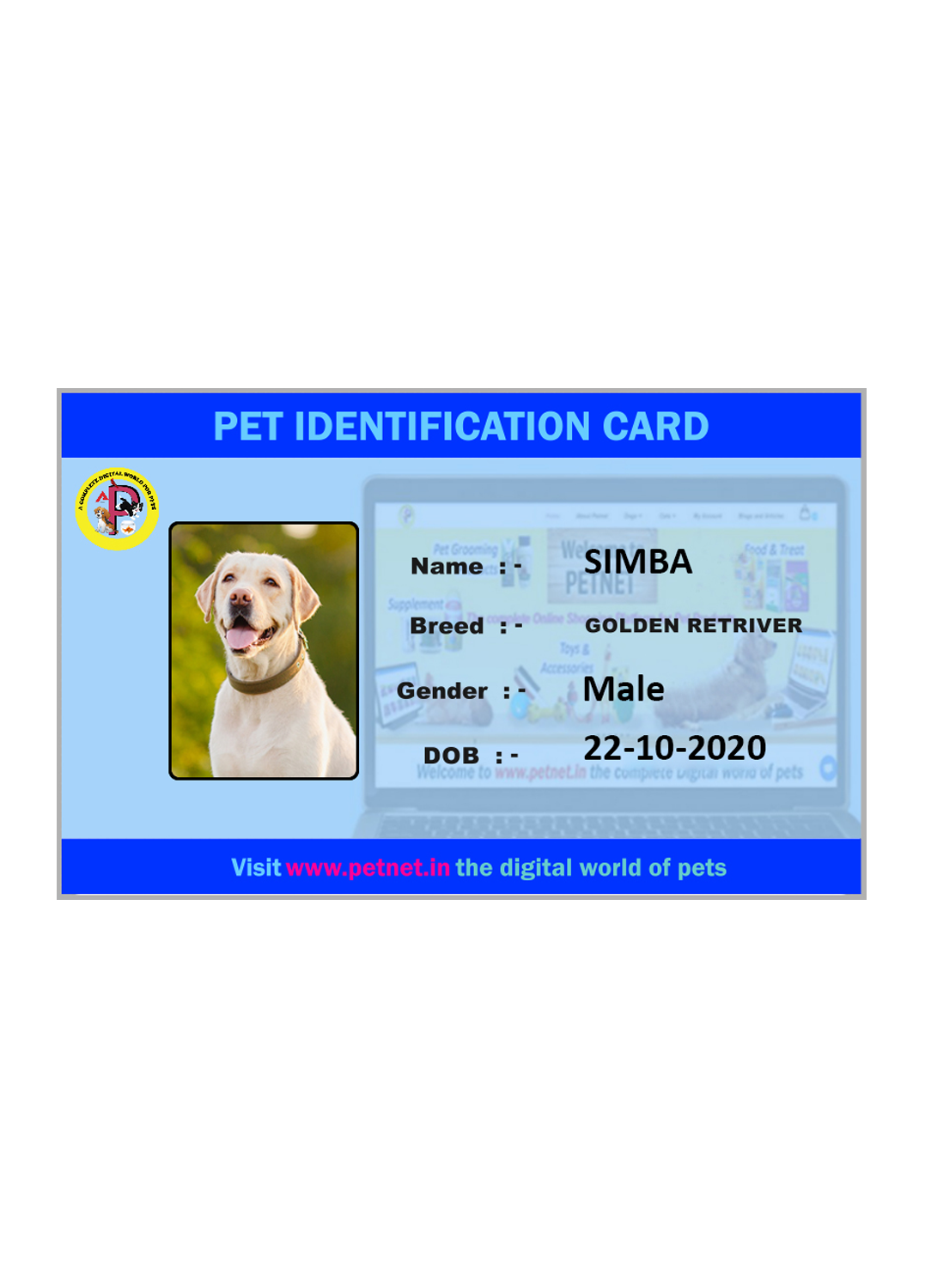 Pet Identification Card - Dog (Sky Blue & Neon Blue)