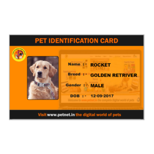 Pet Identification Card – Dog (Orange and Black)
