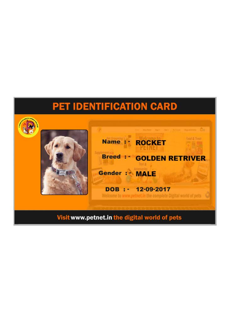 Pet Identification Card – Dog (Orange and Black)