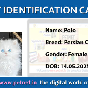 Pet Identification Card – Cat (Blue & White)