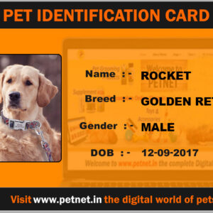 Pet Identification Card – Dog (Orange and Black)