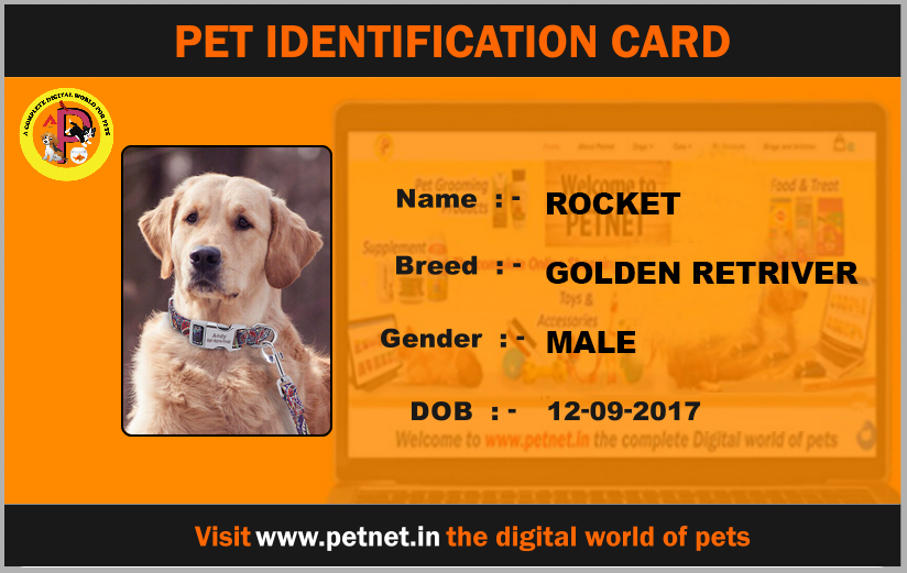 Pet Identification Card – Dog (Orange and Black)