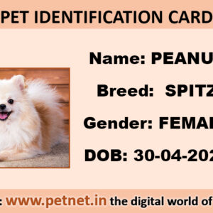 Pet Identification Card – Dog (Peach color)