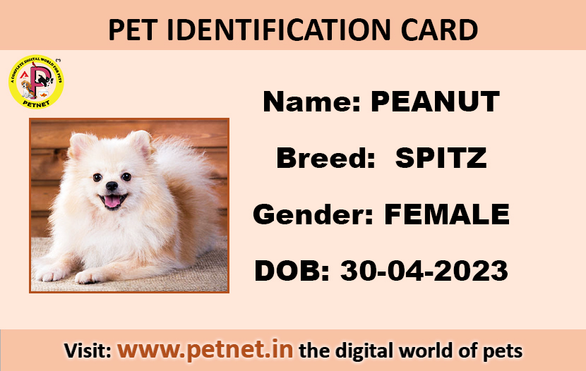 Pet Identification Card – Dog (Peach color)