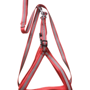 Special Nylon Radium Padded Leash Harness Set 3/4” RED