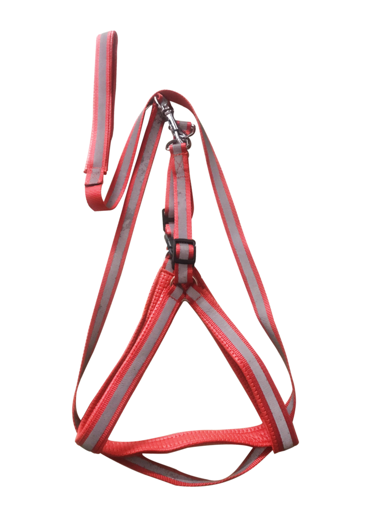 Special Nylon Radium Padded Leash Harness Set 3/4” RED