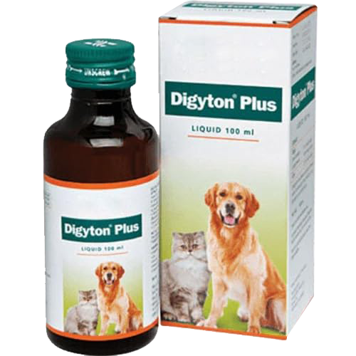 DIGYTON PLUS LIQUID 100 ML