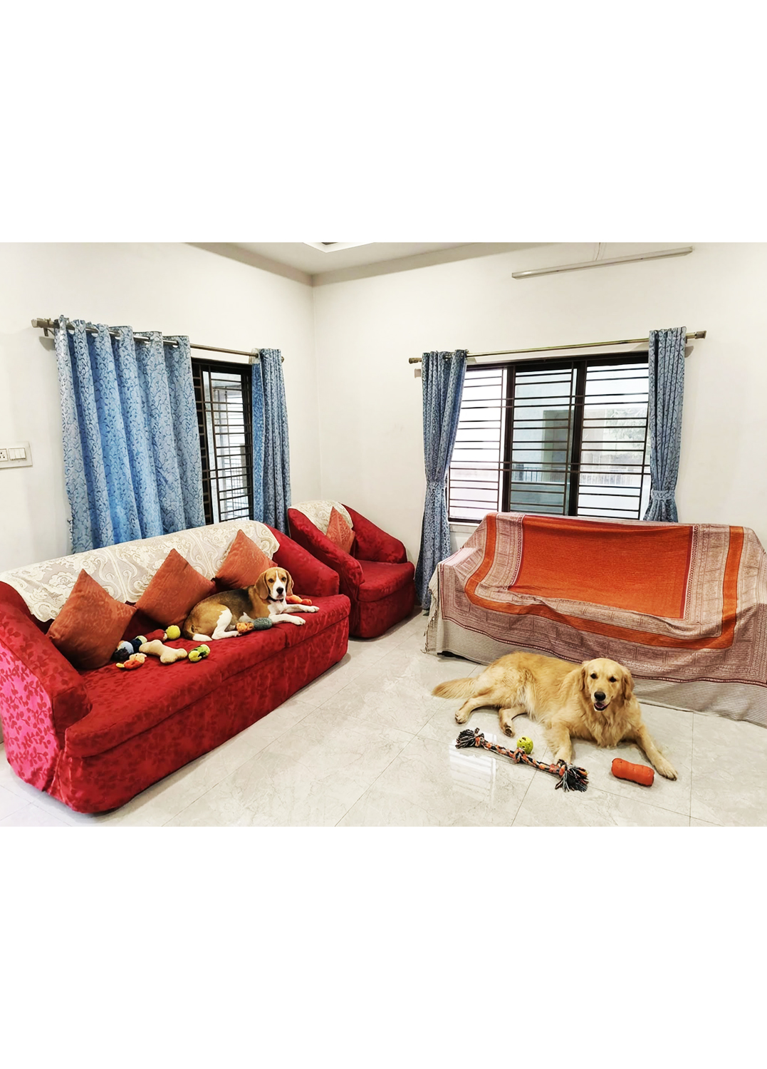 Zinia's Paw Haven (Mahamayatala Garia Area)Leave them happy pick them happier.Dogs Only
