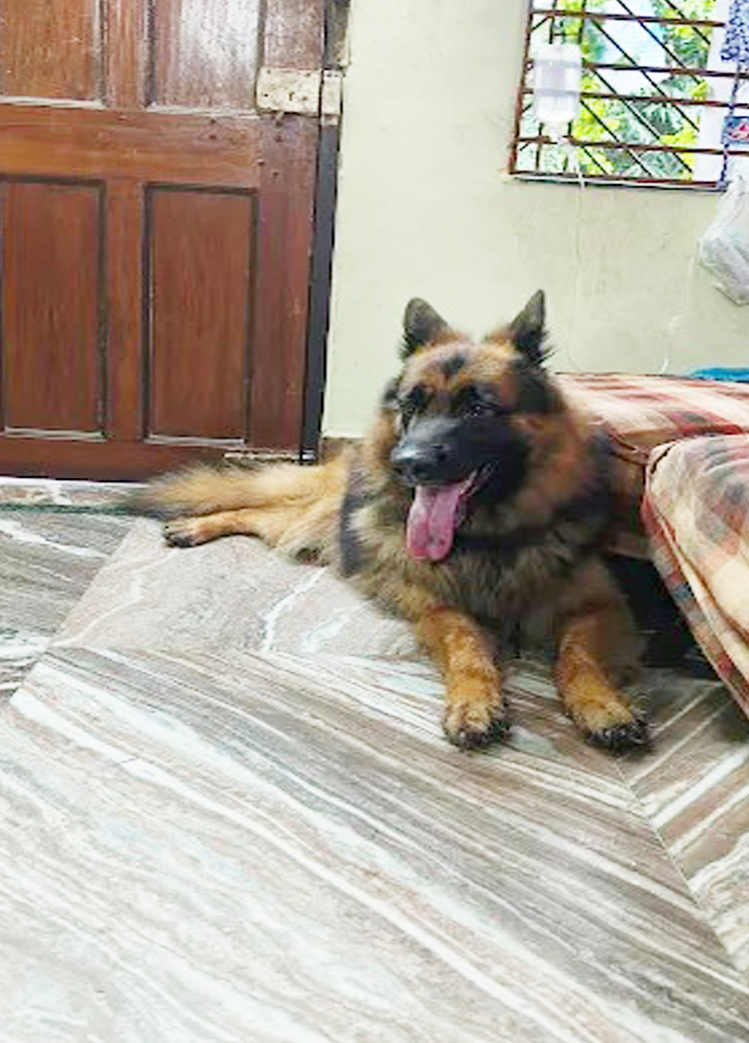 Bhalobasha Bari(Garia Area )Sunday or Monday every day is fun day.Dog And Cat