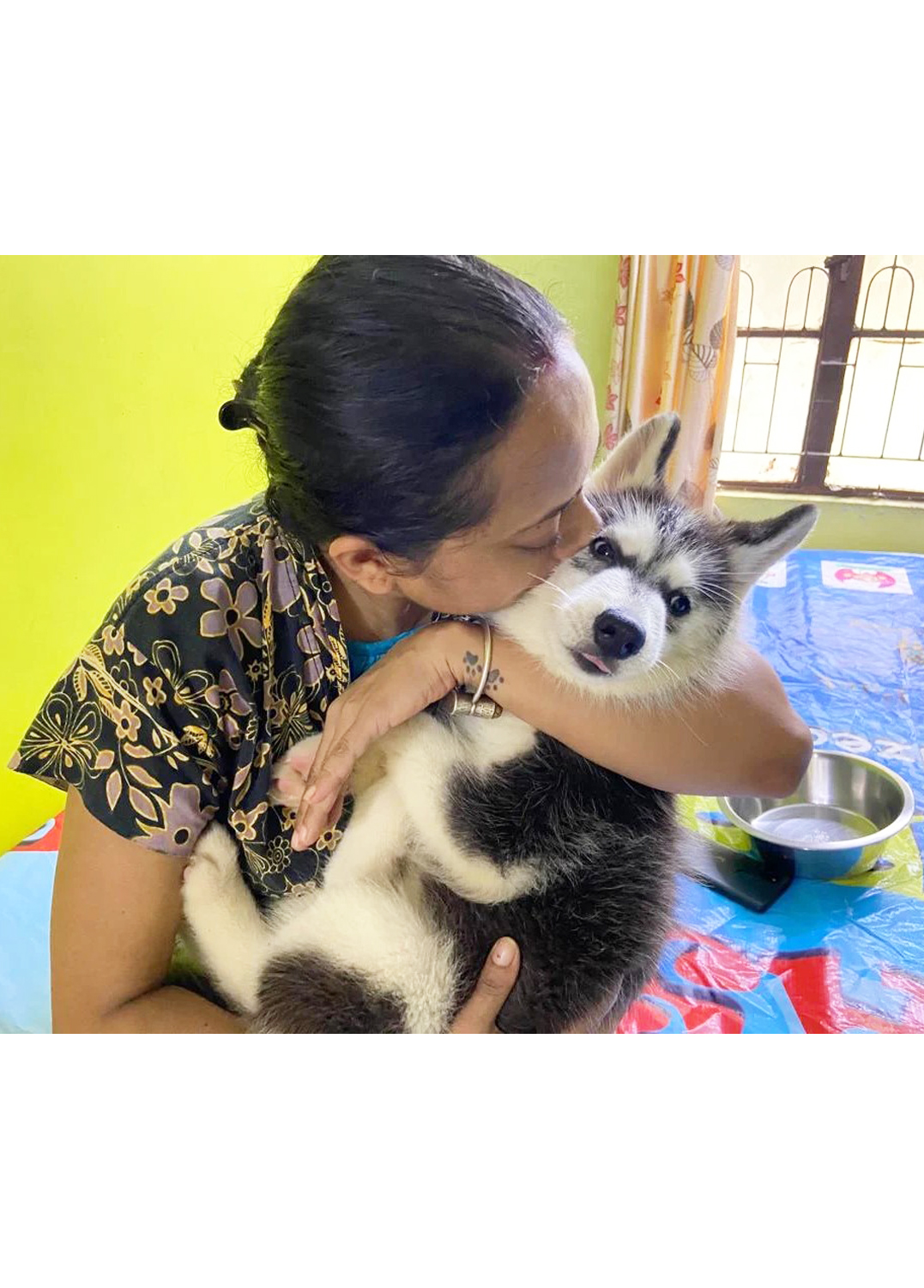 Nabamita's Happy Pack (Kasba) One Happy Heaven for every paw and Whisker